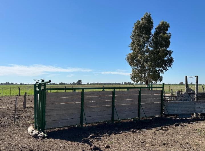 Campo de 200 Has, Villa Iris, Provincia de Buenos Aires. - 2