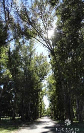 Terreno - Haras San Pablo - 2