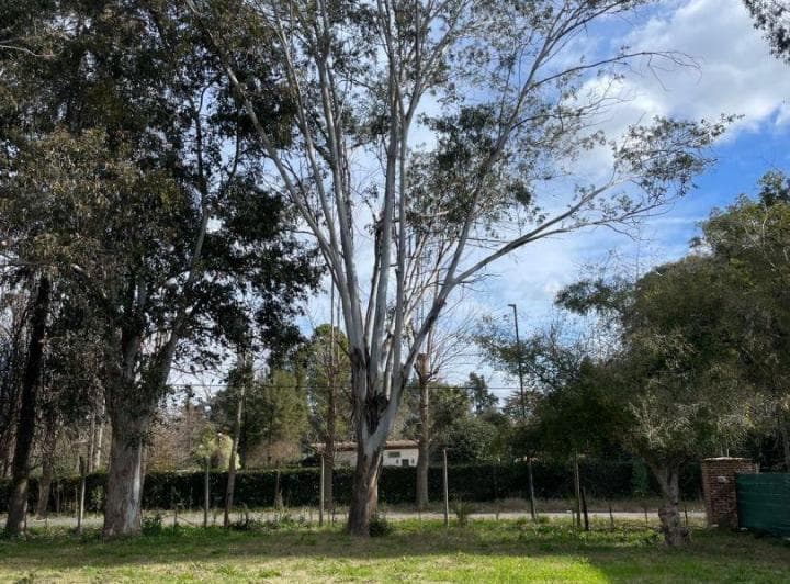 Lote en Venta en La Reserva - La Bota - Benavidez - 2