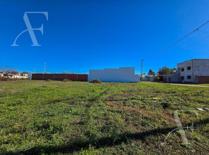 San Pedro I Terreno en Venta - 5