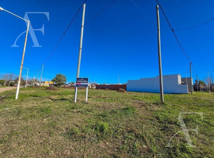 San Pedro I Terreno en Venta - 4