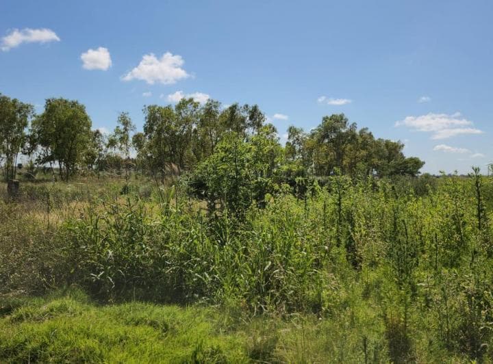 Terrenos en Venta Funes - 3