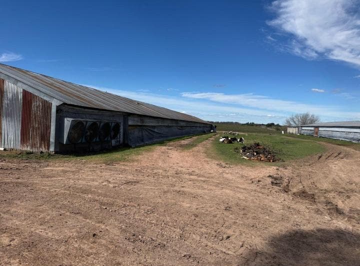 Vendo Granja Avicola en Concepción del Uruguay, Entre Ríos. - 5