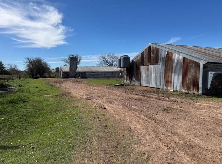Vendo Granja Avicola en Concepción del Uruguay, Entre Ríos. - 3