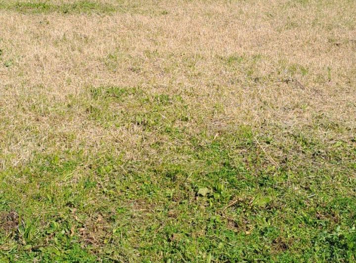 Vende Lote en B°cerrado Dionisio Merlo - 3