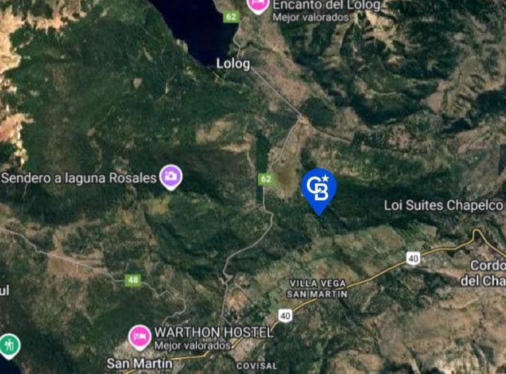 Venta Lote/terreno 3 Hectáreas Vega Maipu San Martin de Los Andes - 5