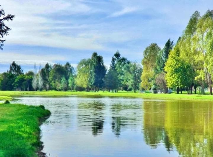 Venta Lote 1634 m² en Country Área 60 La Plata - 3