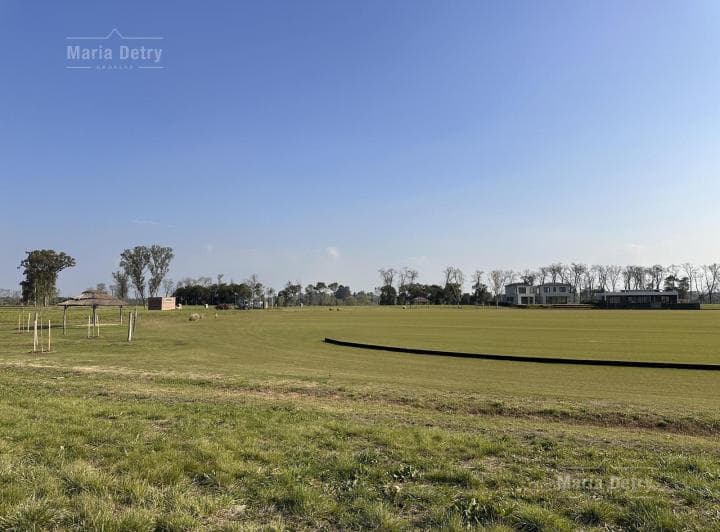 Lote Sobre Polo Cabriolet Pilará - 2