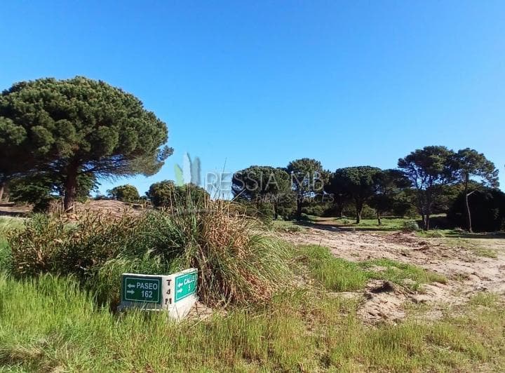 Loteo "Tierra de Mar" - Colonia Marina - Lotes Desde 920 m² | Escriturables | a 350 m del Mar - 2