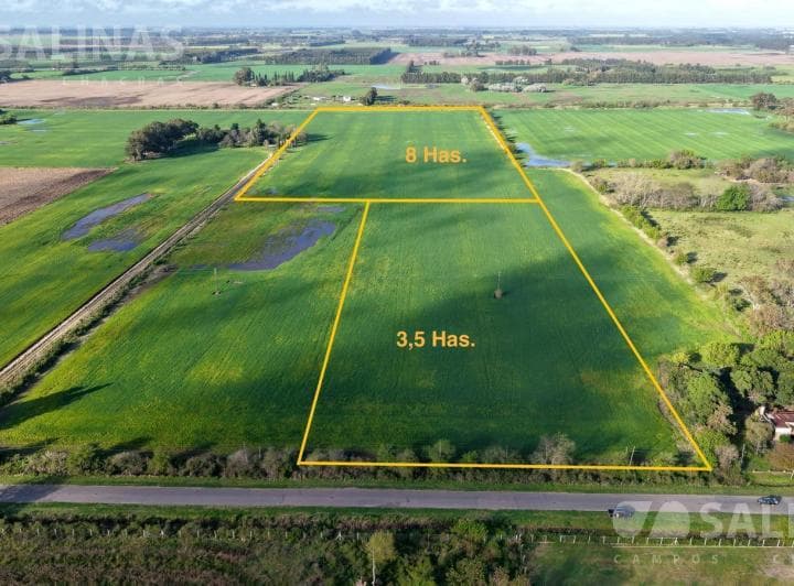 3,5 Ha Fracción Industrial Sobre Ruta en Baradero - 3