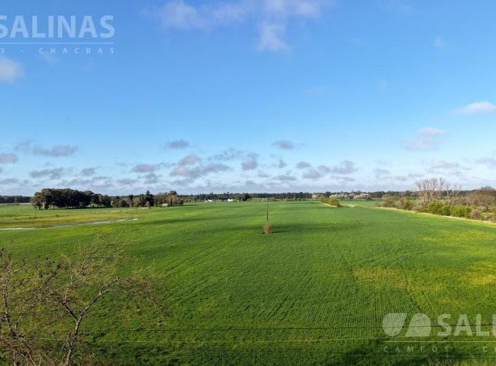 3,5 Ha Fracción Industrial Sobre Ruta en Baradero - 4