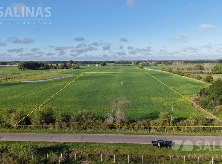 3,5 Ha Fracción Industrial Sobre Ruta en Baradero - 2