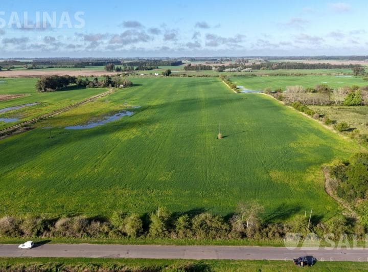 3,5 Ha Fracción Industrial Sobre Ruta en Baradero - 5