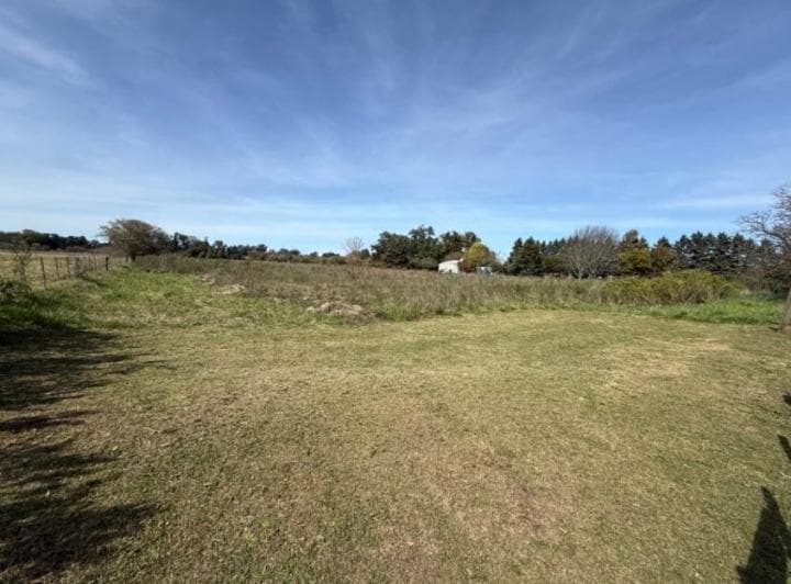 Campo / Hectarea en Venta en General Belgrano - 2