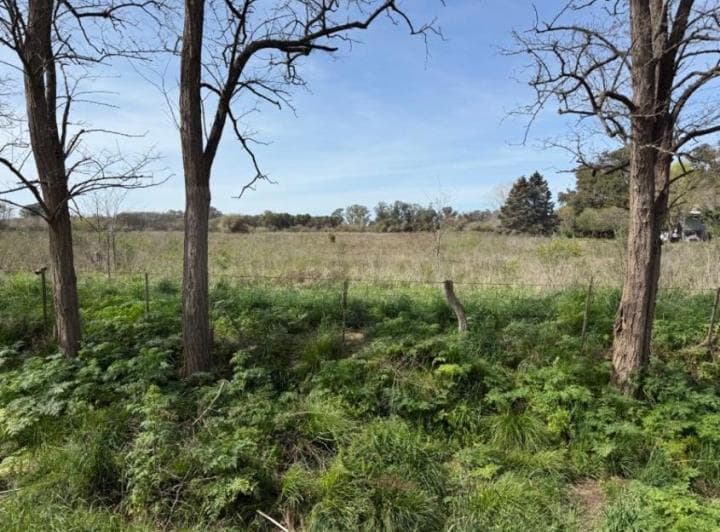 Campo / Hectarea en Venta en General Belgrano - 5