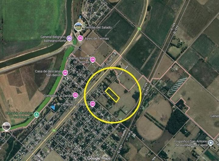 Campo / Hectarea en Venta en General Belgrano - 4