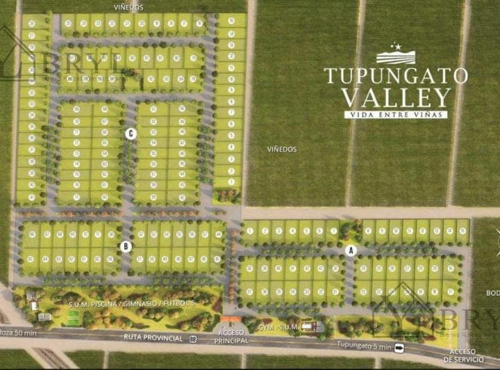 Venta Lote en Tupungato Valley Provincia de Mendoza. Ubicado Frente Viñedo - 2