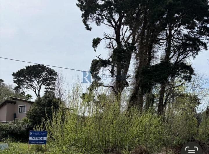 Oportunidad Terreno de 680 m² - Sierra de Los Padres - 2