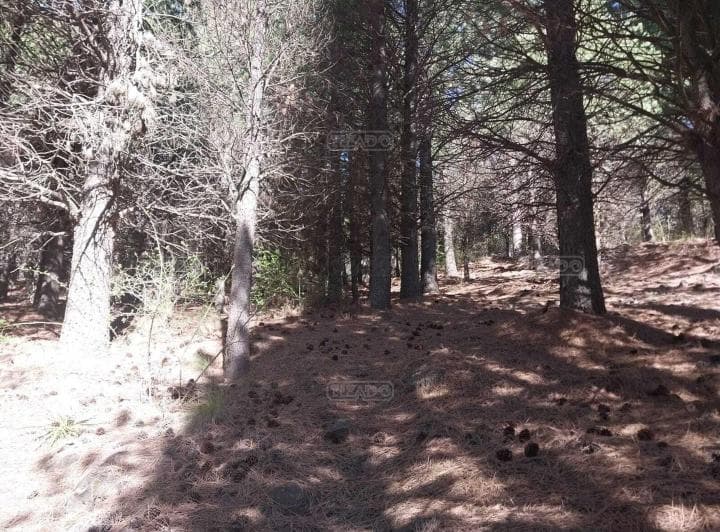 Terreno Lote en Venta en San Martin de Los Andes, Patagonia, Argentina - 4
