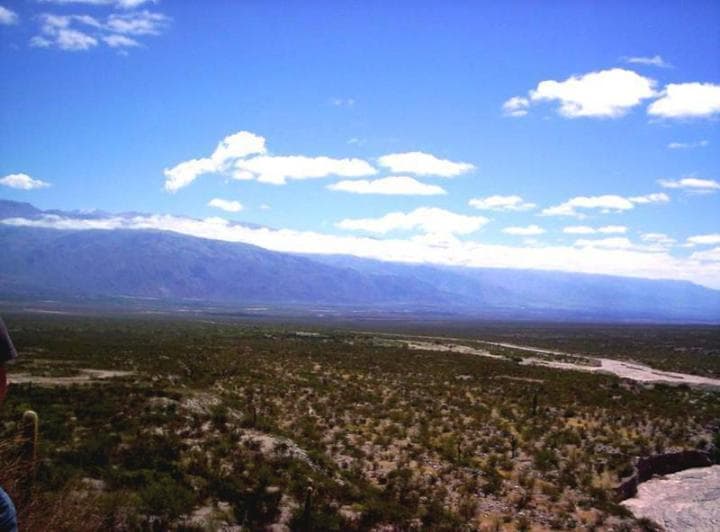 Campo Apto Para Viñedo en Venta - Tolombón, Salta - 2