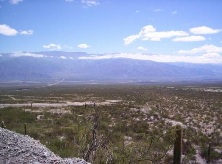 Campo Apto Para Viñedo en Venta - Tolombón, Salta - 4