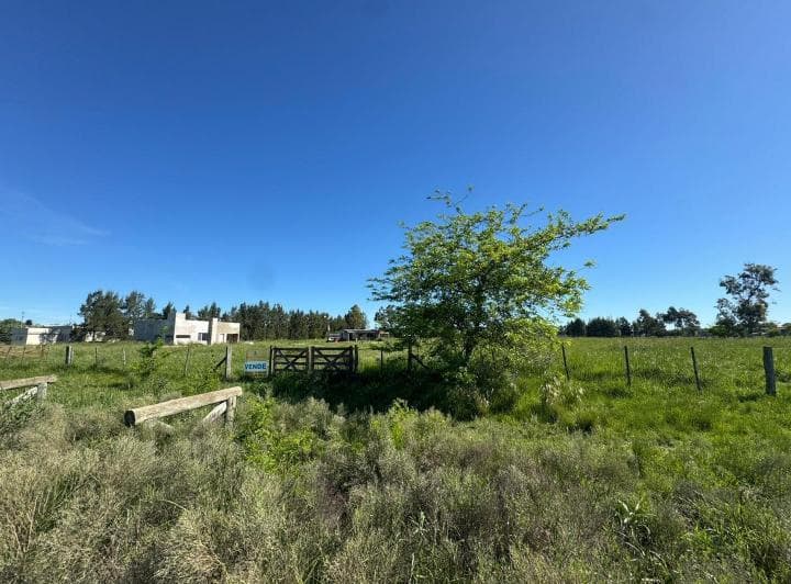 1 Hectarea en Venta Cañuelas - 5