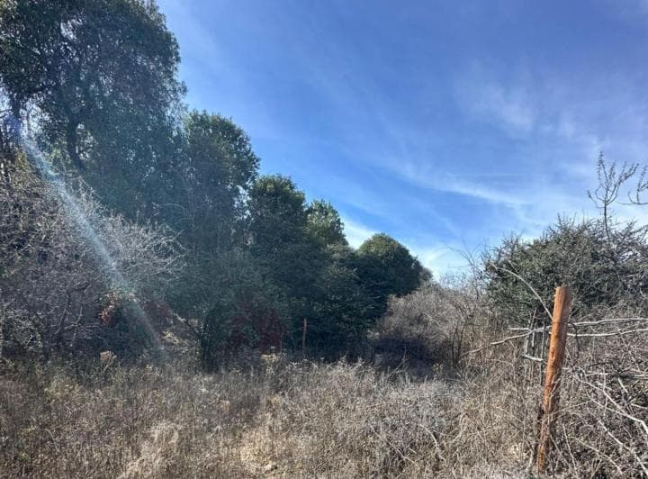 Terreno en Venta en Huerta Grande, Loteo Huerta Real - 4