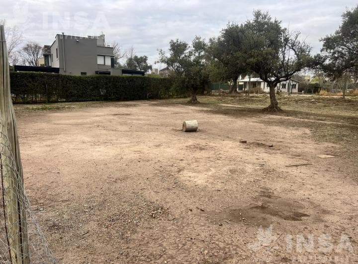 Terreno en Vistalba - 4