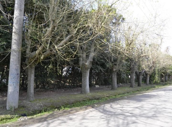 Venta Importante Terreno en 477 y 26 - City Bell - 2