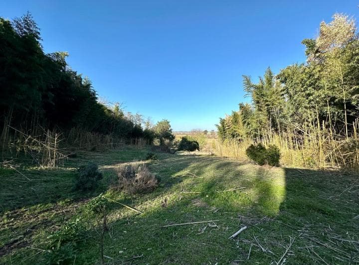 Quinta en Venta en Barranca del Cazador - ID 5494 - 2