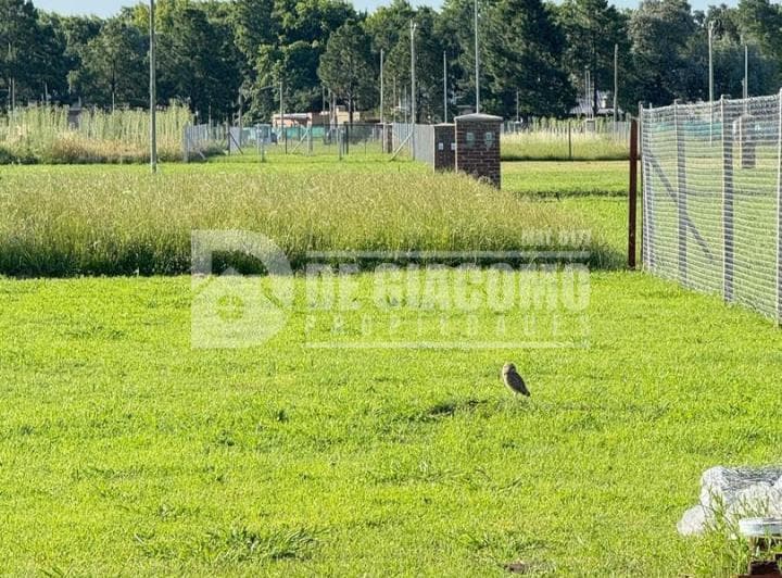 Terreno Lote en Venta en Zelaya, Pilar, G. B. a. Zona Norte - 5