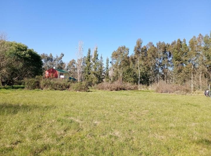 Lote en Arturo Segui - 2
