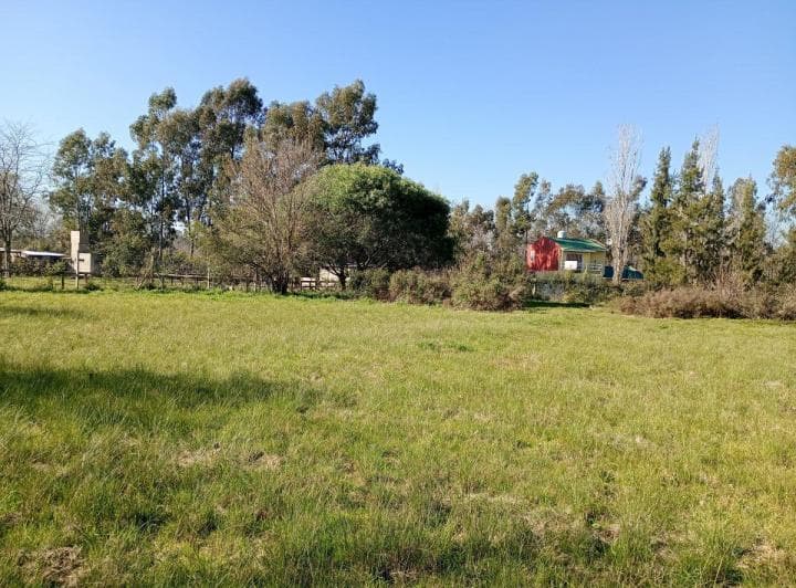 Lote en Arturo Segui - 5