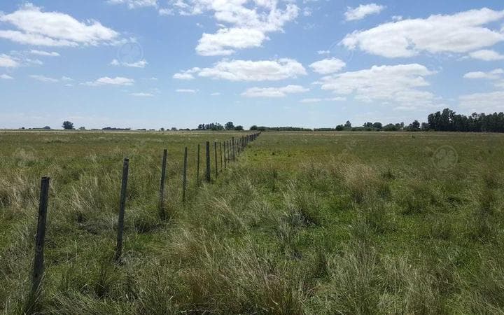 450 Has Magdalena - Campo en Venta a m de Ruta 36! - 3