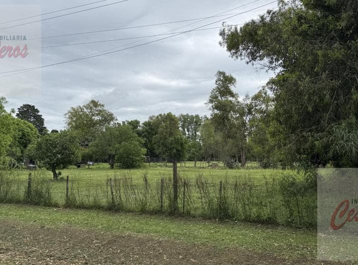 Terreno en San Esteban (Barrio Peluffo) - 4