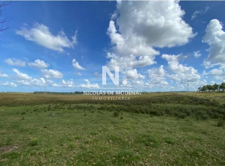 Venta de Campo en Laguna del Sauce de 112 Ha - 3