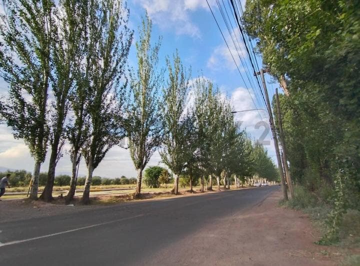 Century 21 Vende Galpón Comercial, Industrial y Vivienda - 2