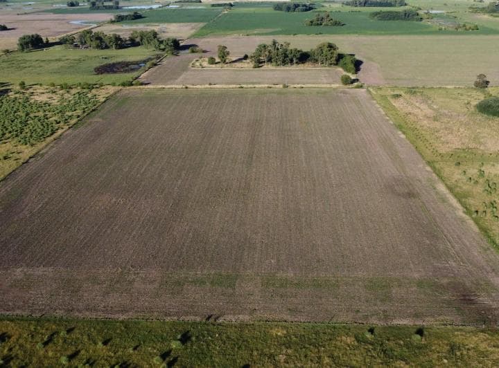 20 Ha Agricolas en Roque Perez - 2