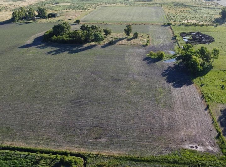 20 Ha Agricolas en Roque Perez - 4