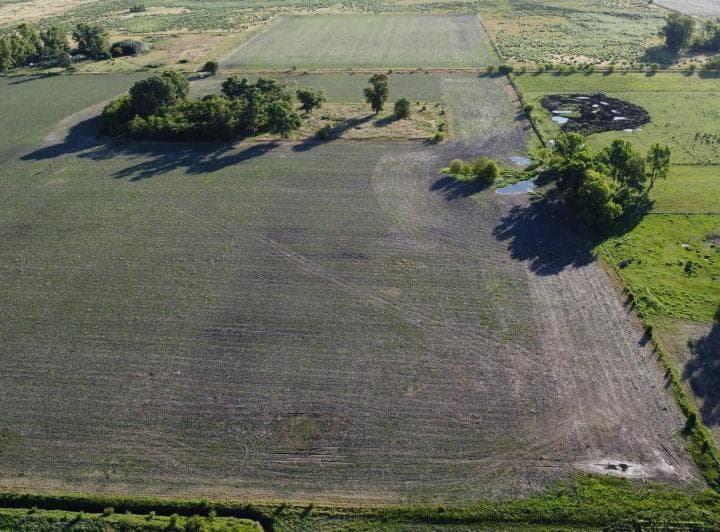 20 Ha Agricolas en Roque Perez - 3