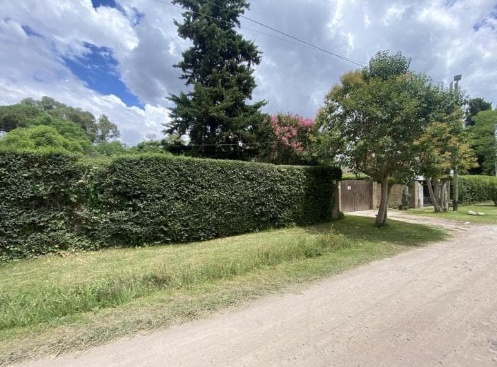 Casa Mas Departamento en Arturo Segui con un Lote de 43x43 Totalmente Arbolado. - 4
