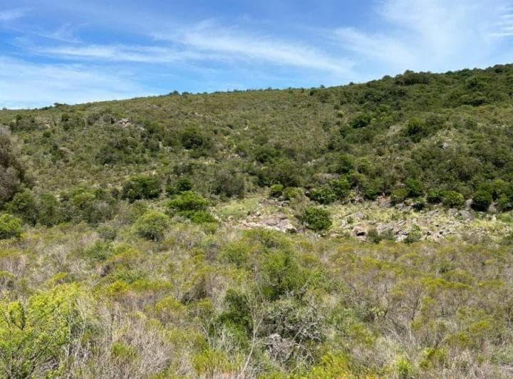 Campo con 50ha en Venta en Cosquín, con Río - 3