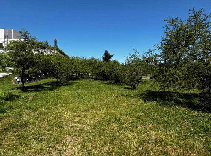 Se Vende Lote en El Terron, Mendiolaza - Frente Al Golf - 4