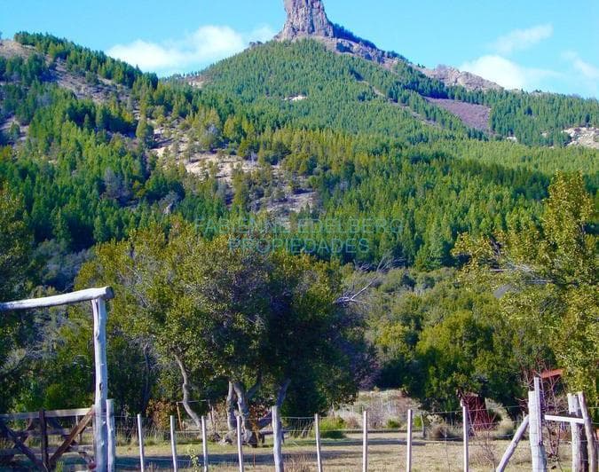 Lote en Meliquina a 100 m de La Ruta | Plano y con Asfalto en Desarrollo - Villa Lago Meliquina - 5
