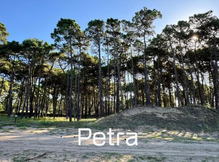 Terreno en Pinamar Norte - 5