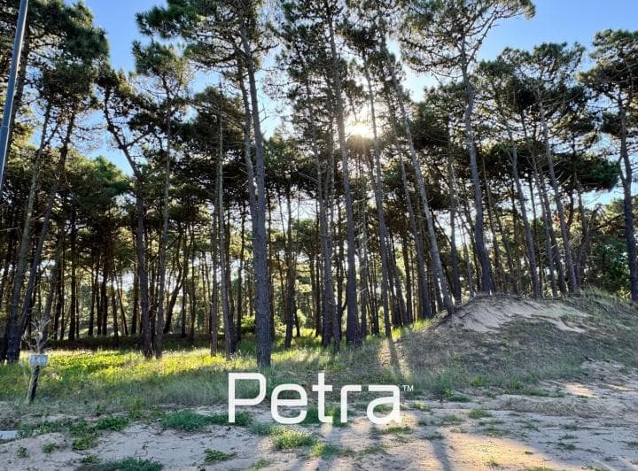 Terreno en Pinamar Norte - 3