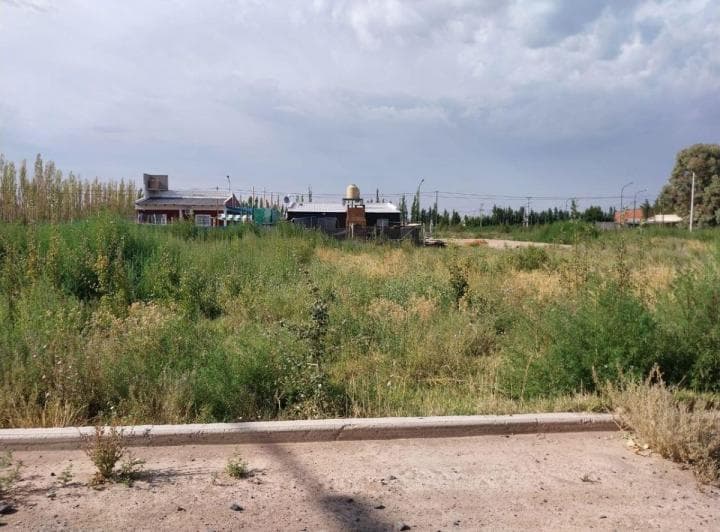 Terreno de 360 m² en Venta en Catalpa - Fernández Oro - 4