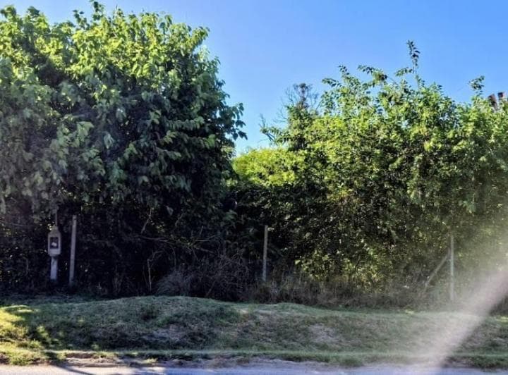 Terrenos en Venta en Sicardi, Ultimos Lotes - 2