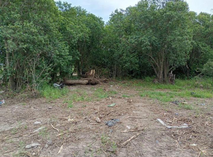 Anisacate Barrio Los Talas Lotes Sobre El Nuevo Ingreso Principal - Entrega Us$2.200 y Cuotas Fijas - 4