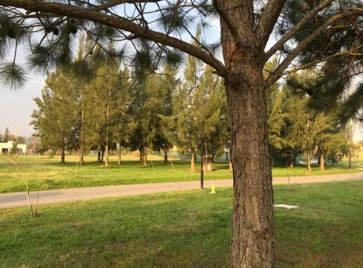 Lote en Venta en Miralagos I – 1143 m² | Ruta 2 Km 65 - 3